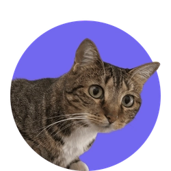 Team member profile picture